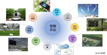 2015年農業B2B互聯網行業報告 網絡技術開發趨勢與影響分析